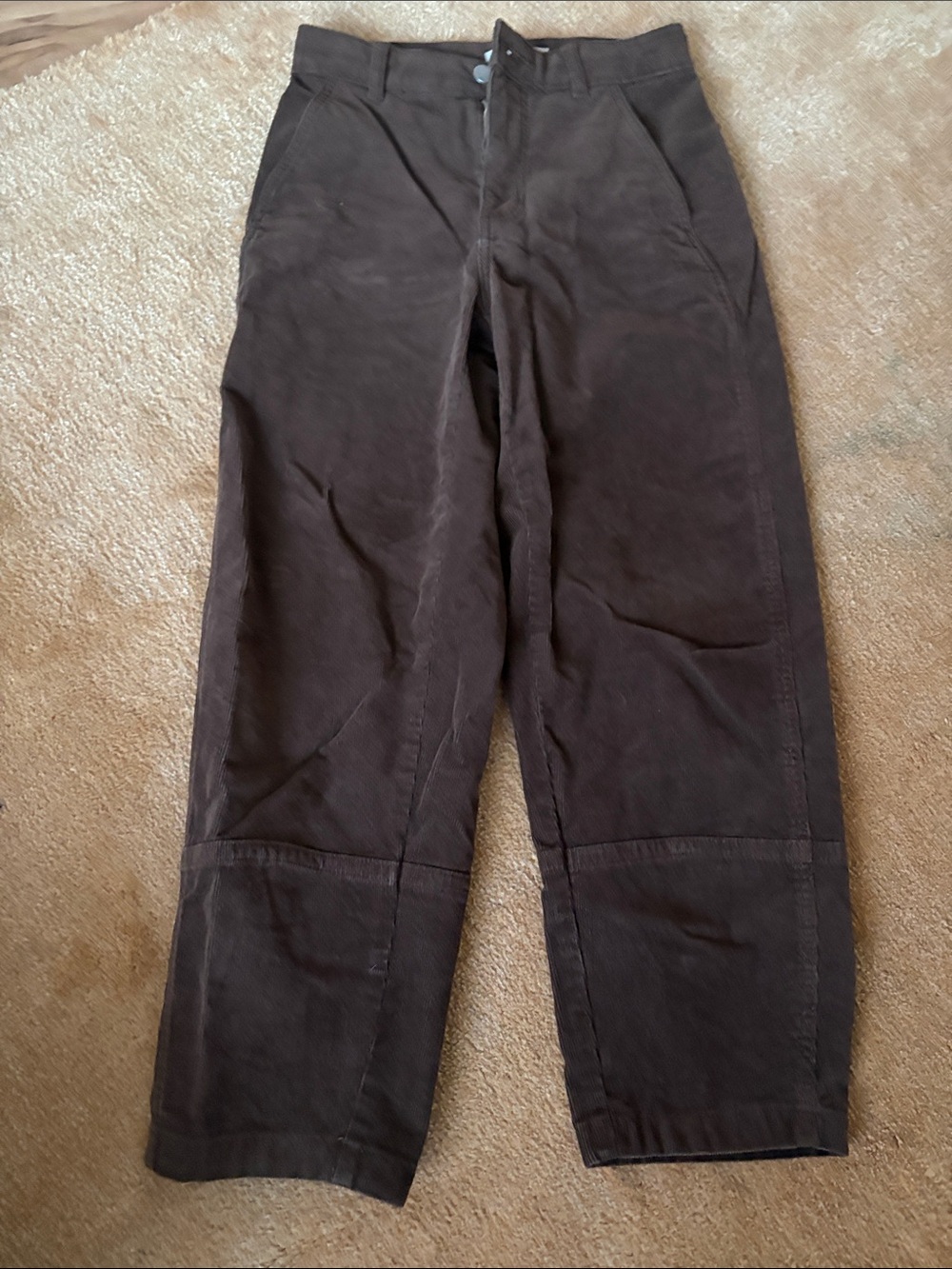 Everlane Brown Utility Corduroy Workwear Pants
